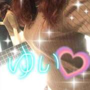 ヒメ日記 2025/10/15 08:12 投稿 ゆい ファーストレディ(博多)