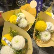 ヒメ日記 2025/11/03 02:22 投稿 ゆい ファーストレディ(博多)