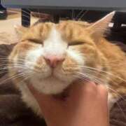 ヒメ日記 2024/12/15 20:17 投稿 いお ジャパンクラブ富士