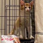 ヒメ日記 2024/12/16 00:37 投稿 いお ジャパンクラブ富士