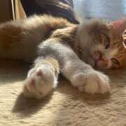 ヒメ日記 2024/12/26 15:47 投稿 いお ジャパンクラブ富士