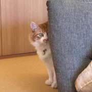 ヒメ日記 2025/01/19 13:47 投稿 いお ジャパンクラブ富士