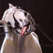 ヒメ日記 2025/01/30 14:47 投稿 いお ジャパンクラブ富士