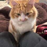 ヒメ日記 2025/02/13 20:57 投稿 いお ジャパンクラブ富士