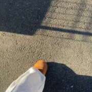 ヒメ日記 2025/02/24 16:45 投稿 いお ジャパンクラブ富士