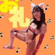 ヒメ日記 2025/03/11 13:17 投稿 いお ジャパンクラブ富士