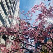 ヒメ日記 2025/03/18 18:28 投稿 いお ジャパンクラブ富士