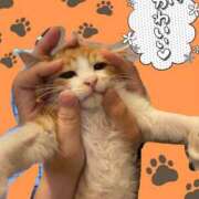 ヒメ日記 2025/03/19 20:22 投稿 いお ジャパンクラブ富士