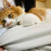 ヒメ日記 2025/03/20 17:26 投稿 いお ジャパンクラブ富士