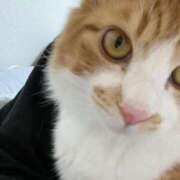 ヒメ日記 2025/03/22 07:12 投稿 いお ジャパンクラブ富士