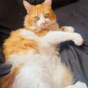 ヒメ日記 2025/04/04 17:22 投稿 いお ジャパンクラブ富士