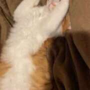 ヒメ日記 2025/04/09 19:03 投稿 いお ジャパンクラブ富士