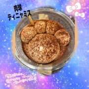 ヒメ日記 2025/02/19 13:18 投稿 アスナ ミ・アモーレ