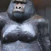 ヒメ日記 2025/07/05 13:30 投稿 アスナ ミ・アモーレ