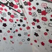 ヒメ日記 2025/11/09 12:00 投稿 アスナ ミ・アモーレ