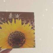 ヒメ日記 2026/03/05 23:27 投稿 ゆい スピード日本橋店