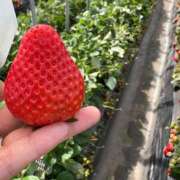 ヒメ日記 2025/02/24 12:50 投稿 ももか 横浜人妻ヒットパレード（シンデレラグループ）