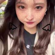 ヒメ日記 2025/02/08 12:02 投稿 あげは 若葉