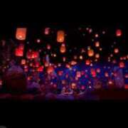 ヒメ日記 2025/02/11 11:05 投稿 あげは 若葉