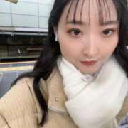 ヒメ日記 2025/03/05 15:31 投稿 あげは 若葉