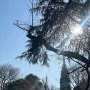 ヒメ日記 2025/04/22 03:11 投稿 あげは 若葉