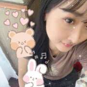 ヒメ日記 2025/07/27 17:45 投稿 あげは 若葉