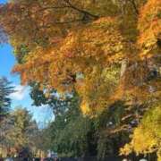 ヒメ日記 2025/11/06 15:13 投稿 あげは 若葉