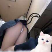 ヒメ日記 2025/02/22 21:02 投稿 ひまわり サンキュー越谷店