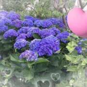 ヒメ日記 2025/07/27 12:42 投稿 みほ 満天堂