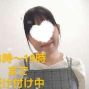 ヒメ日記 2025/03/19 14:20 投稿 みく 愛知三河安城岡崎ちゃんこ