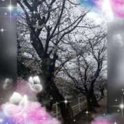 ヒメ日記 2025/03/27 16:40 投稿 みく 愛知三河安城岡崎ちゃんこ