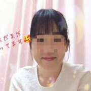 ヒメ日記 2025/04/12 16:10 投稿 みく 愛知三河安城岡崎ちゃんこ