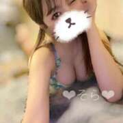 ヒメ日記 2025/11/21 10:15 投稿 そら コルドンブルー