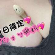 ヒメ日記 2025/06/24 18:29 投稿 あず 浜松駅前ちゃんこ