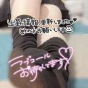 ヒメ日記 2025/06/30 12:39 投稿 あず 浜松駅前ちゃんこ