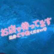ヒメ日記 2025/07/01 13:29 投稿 あず 浜松駅前ちゃんこ