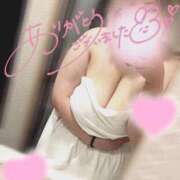 ヒメ日記 2025/07/19 23:59 投稿 あず 浜松駅前ちゃんこ