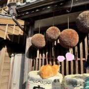 ヒメ日記 2025/08/10 15:09 投稿 あず 浜松駅前ちゃんこ