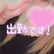 ヒメ日記 2025/08/22 21:49 投稿 あず 浜松駅前ちゃんこ