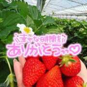 ヒメ日記 2025/08/28 01:19 投稿 あず 浜松駅前ちゃんこ