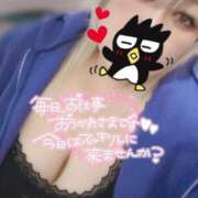 ヒメ日記 2025/10/27 17:39 投稿 あず 浜松駅前ちゃんこ