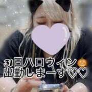 ヒメ日記 2025/10/28 03:09 投稿 あず 浜松駅前ちゃんこ