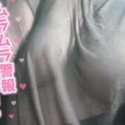 ヒメ日記 2025/11/01 12:39 投稿 あず 浜松駅前ちゃんこ