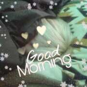 ヒメ日記 2025/11/19 08:49 投稿 あず 浜松駅前ちゃんこ