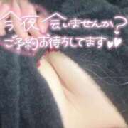 ヒメ日記 2025/11/23 22:39 投稿 あず 浜松駅前ちゃんこ