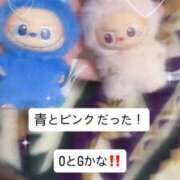 ヒメ日記 2025/11/24 10:29 投稿 あず 浜松駅前ちゃんこ