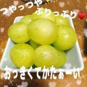 ヒメ日記 2025/12/02 15:14 投稿 あず 浜松駅前ちゃんこ