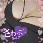 ヒメ日記 2025/12/10 17:39 投稿 あず 浜松駅前ちゃんこ