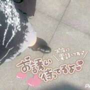 ヒメ日記 2025/12/29 11:09 投稿 あず 浜松駅前ちゃんこ