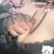 ヒメ日記 2026/02/11 15:29 投稿 あず 浜松駅前ちゃんこ